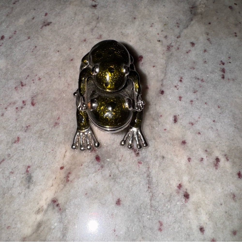 a green and silver mother turtle and her baby trinket